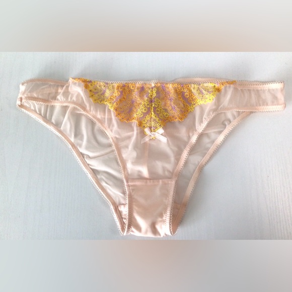 New Victoria’s Secret Sheer Lace Bikini Panty